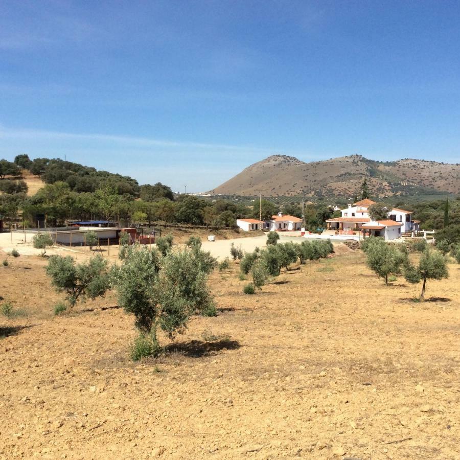 아르키도나 Santa Marta Complejo Rural Con Pista De Padel 게스트하우스 외부 사진